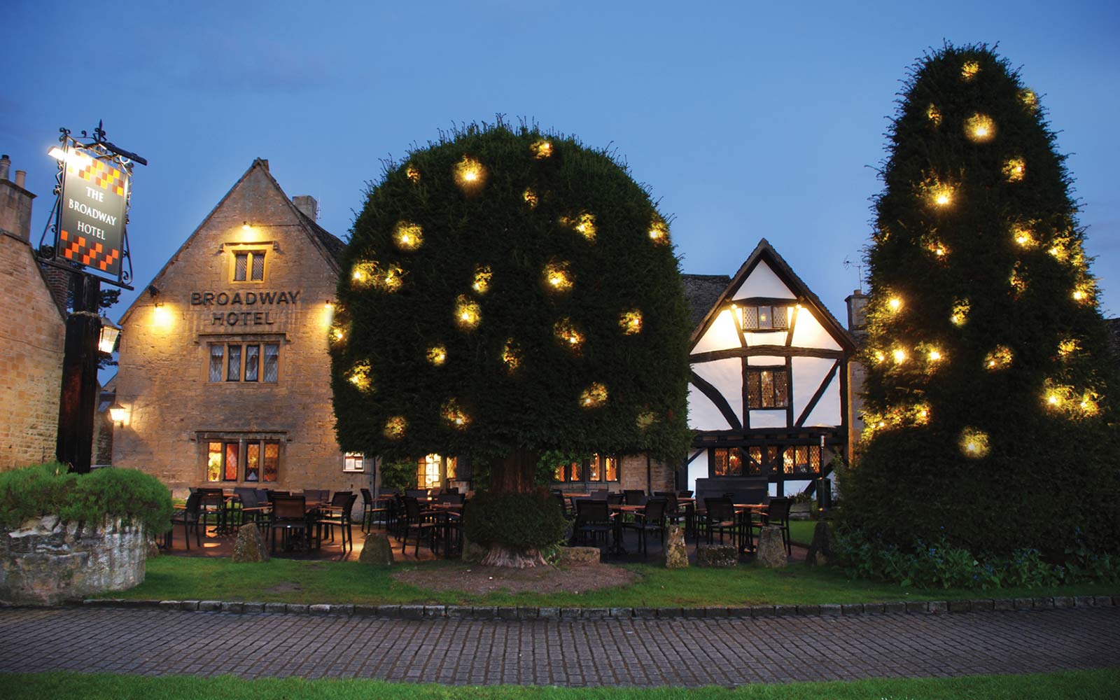 A tree in front of a building lit up at night.