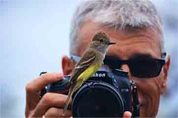 A man with sunglasses taking a picture of a bird.