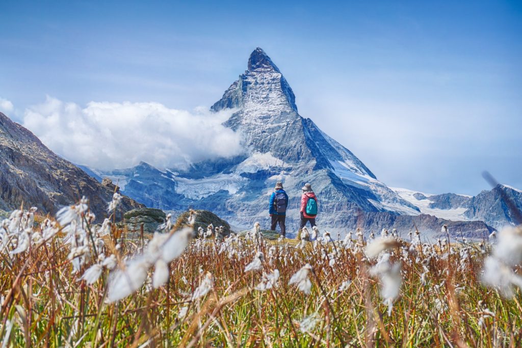 Hiking in the swiss alps with flower field and the Matterhorn peak in the background.