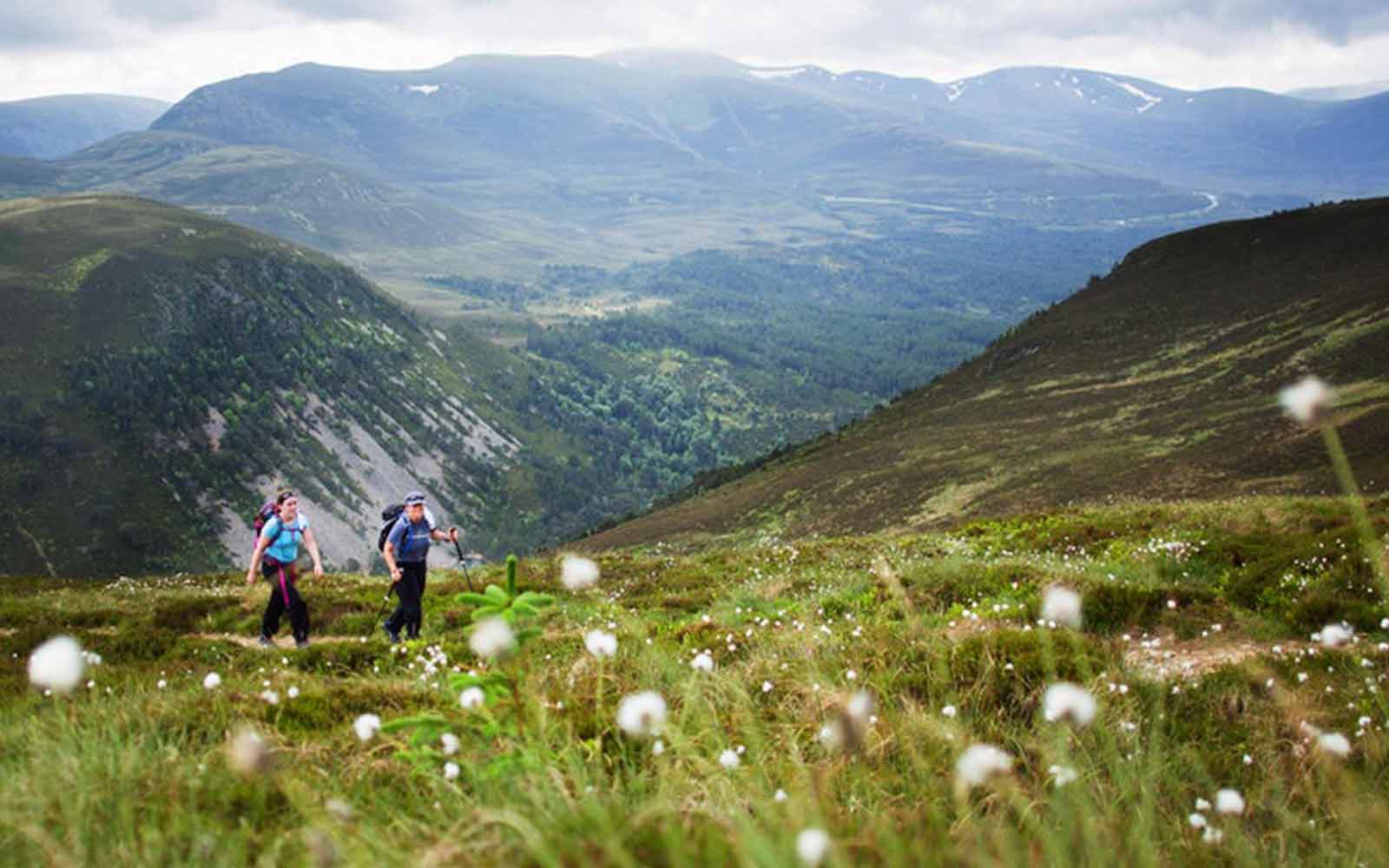 Two people walking on a grassy hill in the scottish highlands.