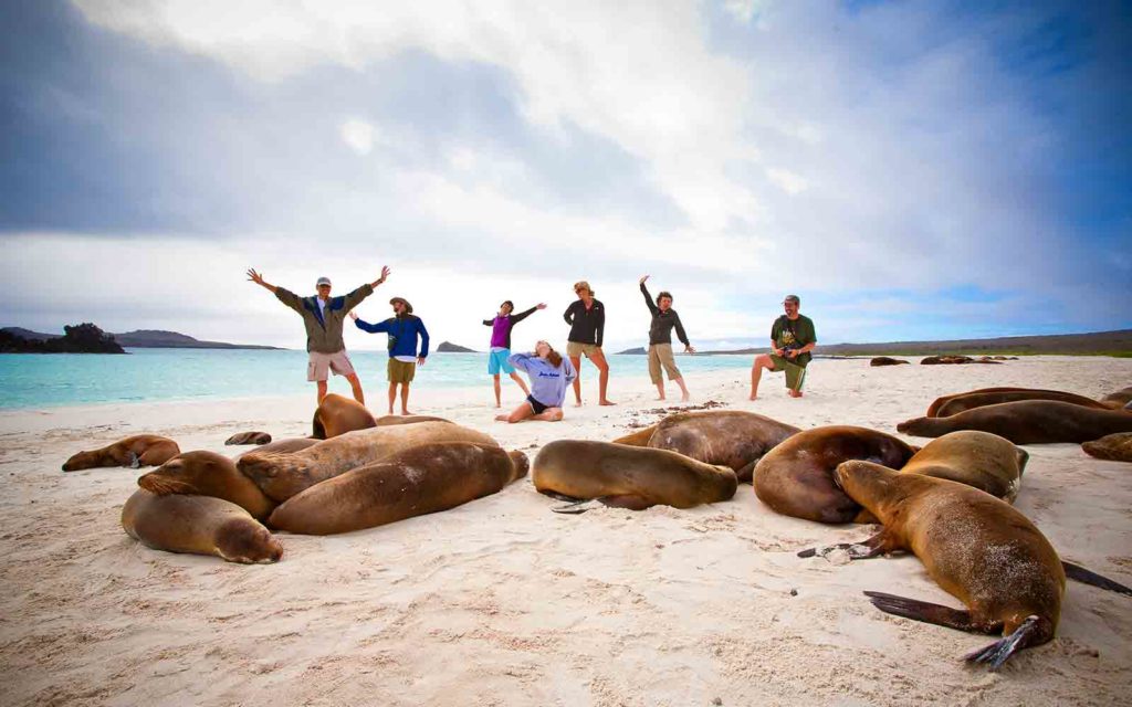 A group of people posing with sea lions on a beach.