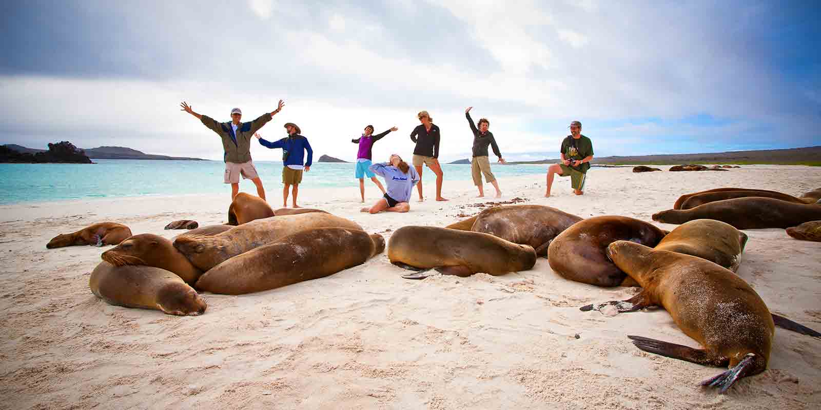 A group of people posing with sea lions on a beach.