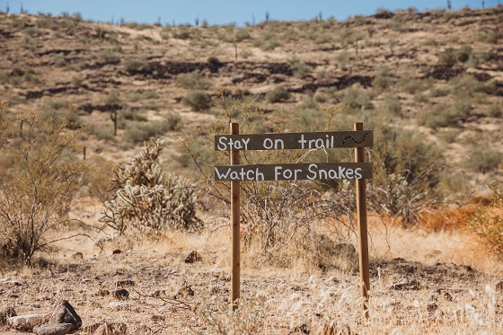 A sign that says 'stay on trail, watch for snakes' in the desert for hiking safely.