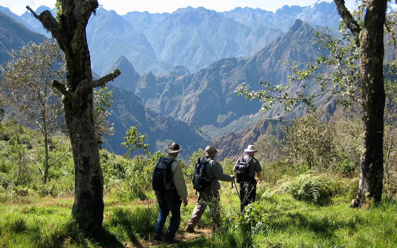 A group of hikers on a trail in the mountains.
