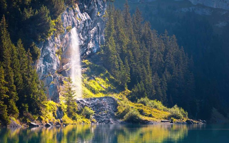 A scenic waterfall surrounded by forest in the Swiss Alps
