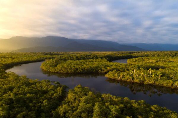 An aerial view of a river surrounded by trees and mountains.