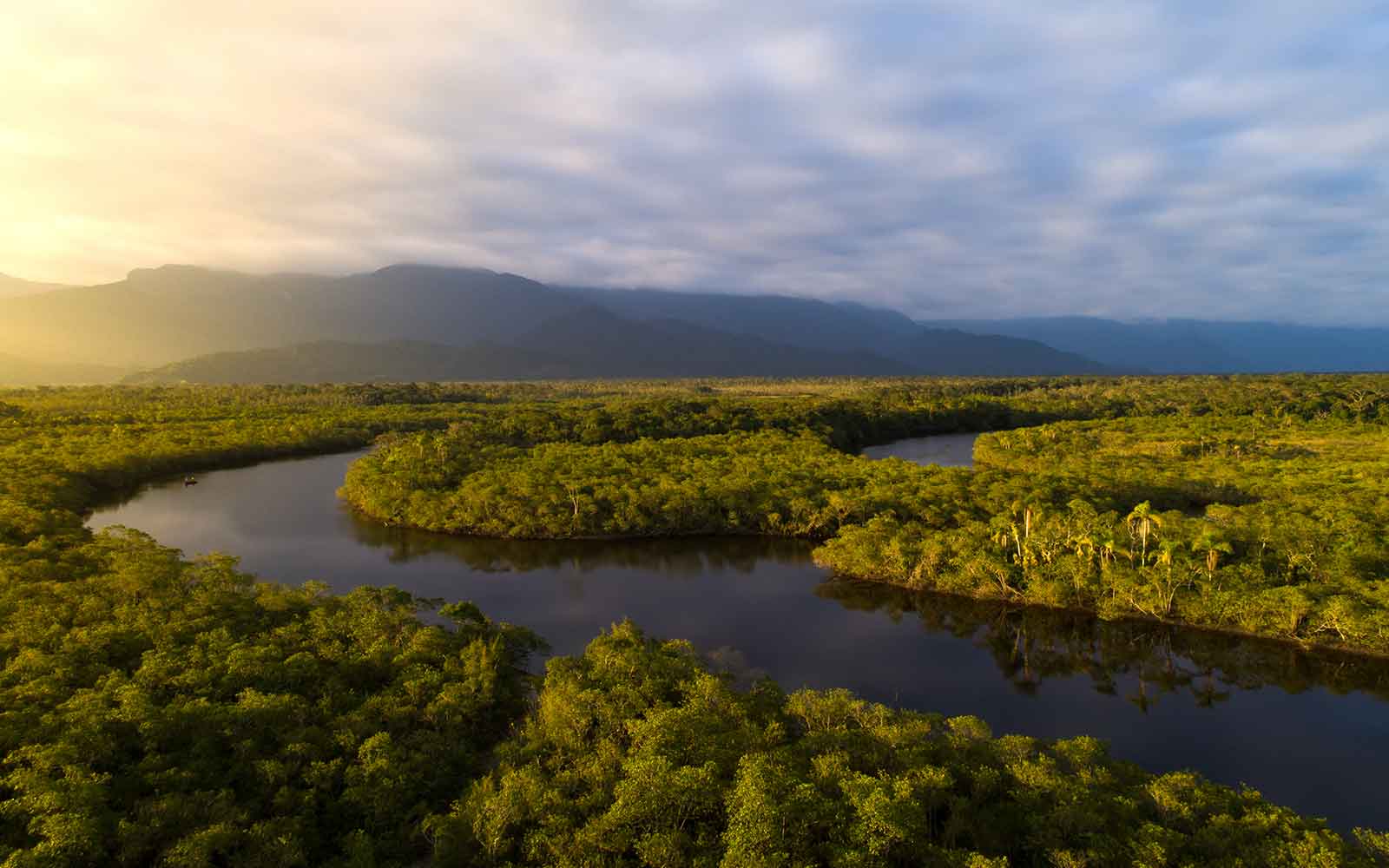An aerial view of a river surrounded by trees and mountains.