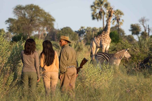 Africa Adventure Travel: Three people standing in the grass with a giraffe in the background during an unforgettable experience in Africa.