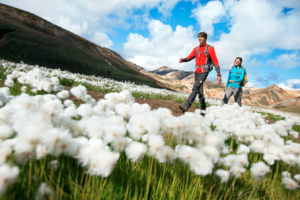 Male and female solo hikers walking along Laugavegur hike in Iceland