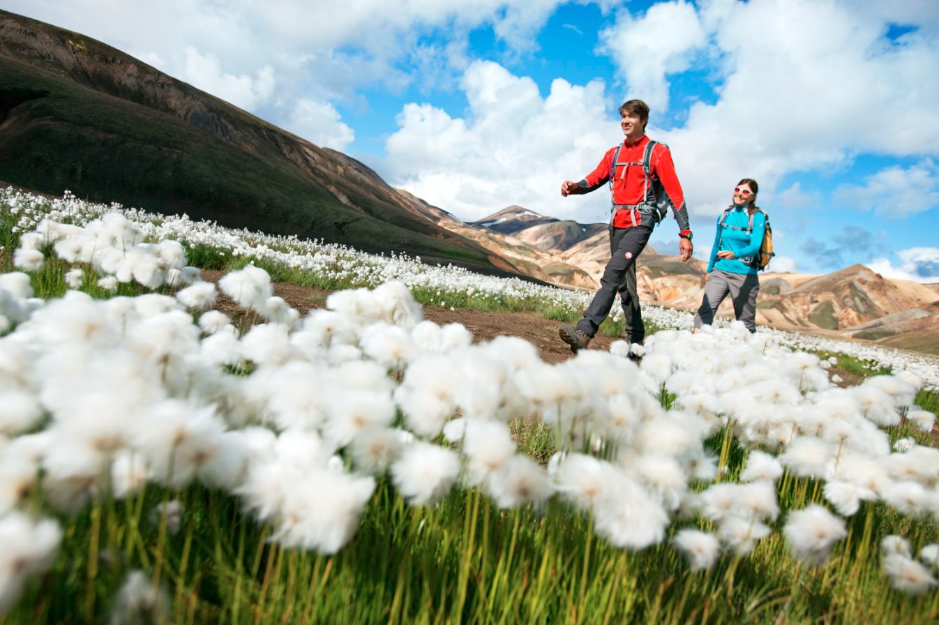 How to Pack for Your Multi-Day Trek