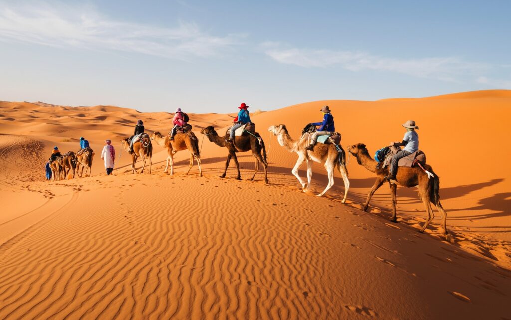 Caravan going through the sand dunes in the Sahara Desert, Morocco