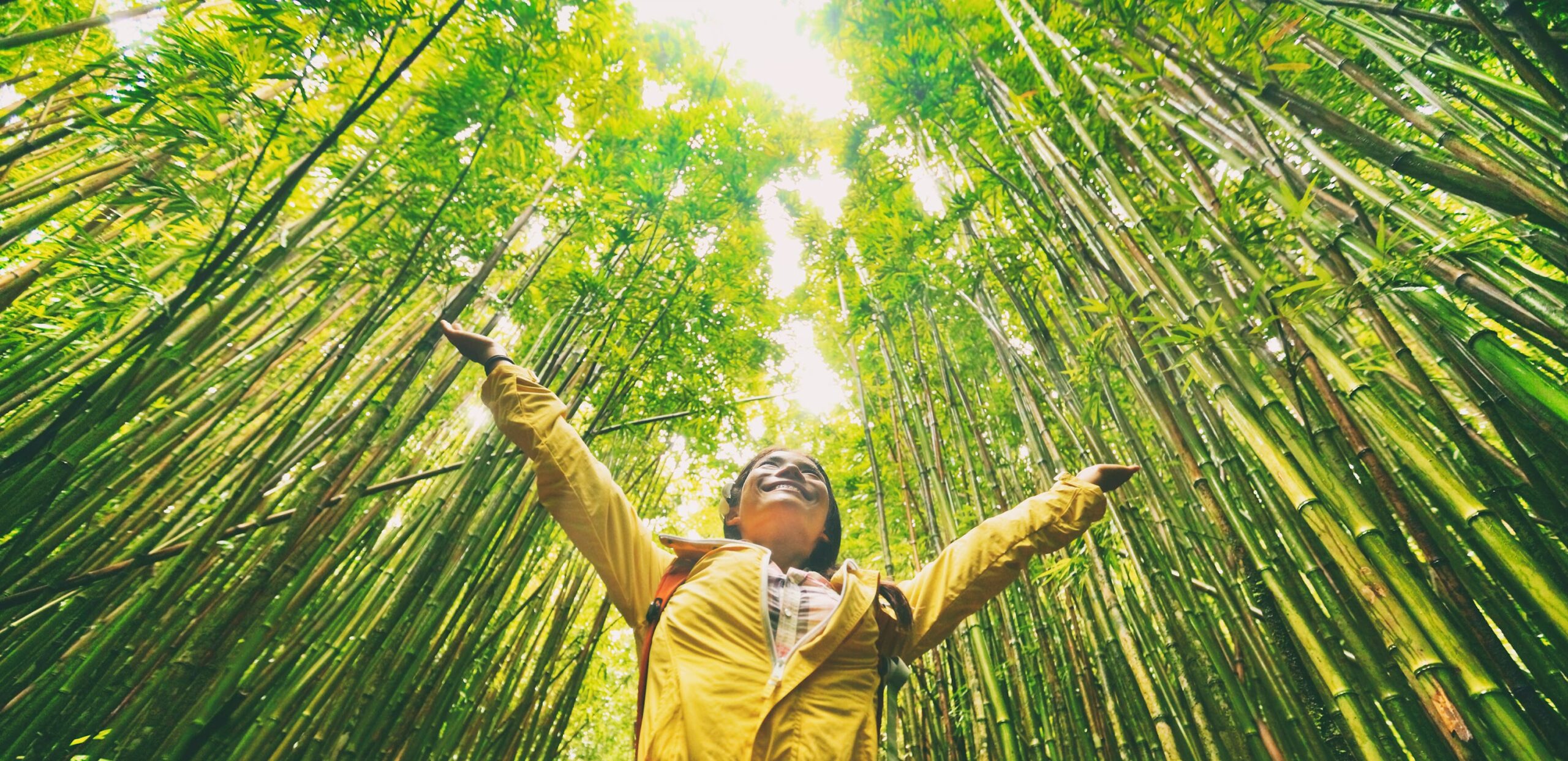 A woman standing in a bamboo forest with her arms outstretched.