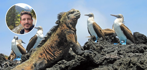 Galapagos
