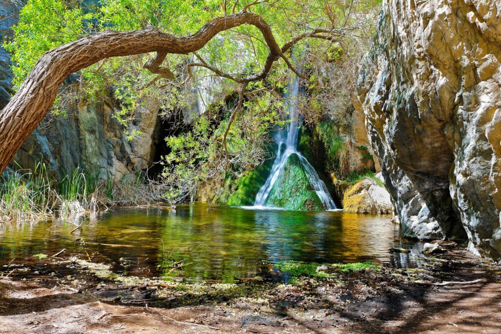 Darwin falls in Death Valley & California Joshua Tree active adventure with MT Sobek