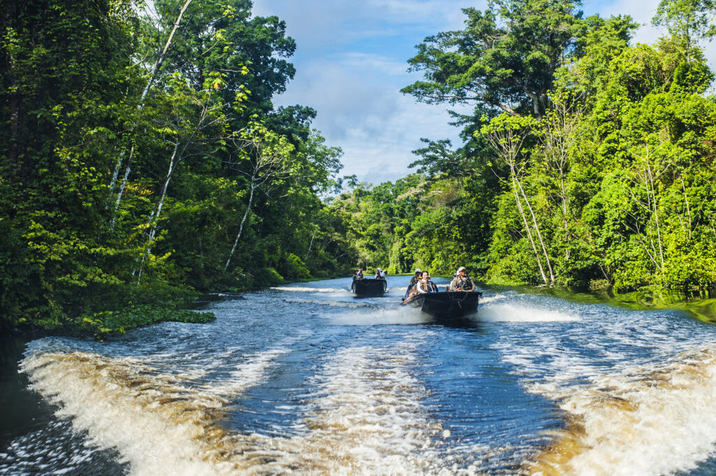 going in the amazon rainforest 