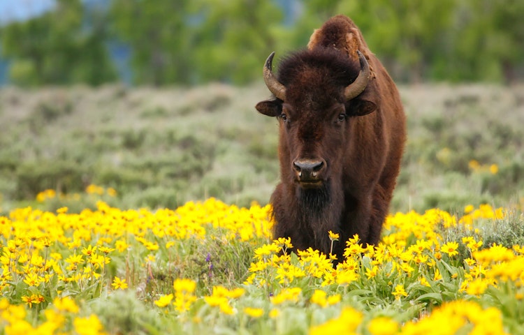 breathtaking landscape in the West