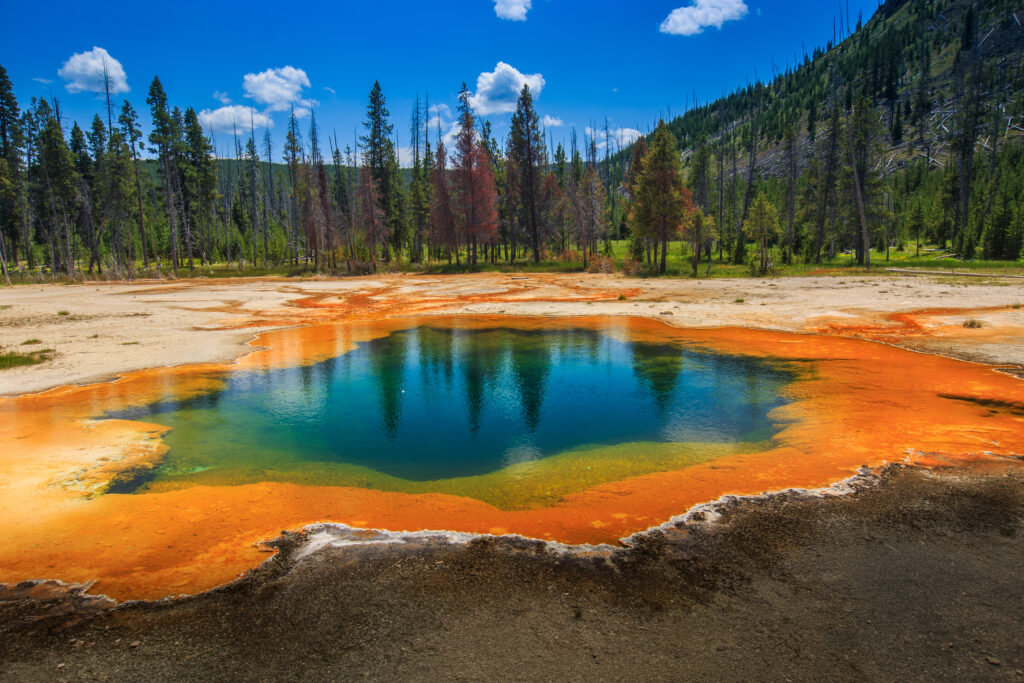 Hot springs in Yellowstone National Park