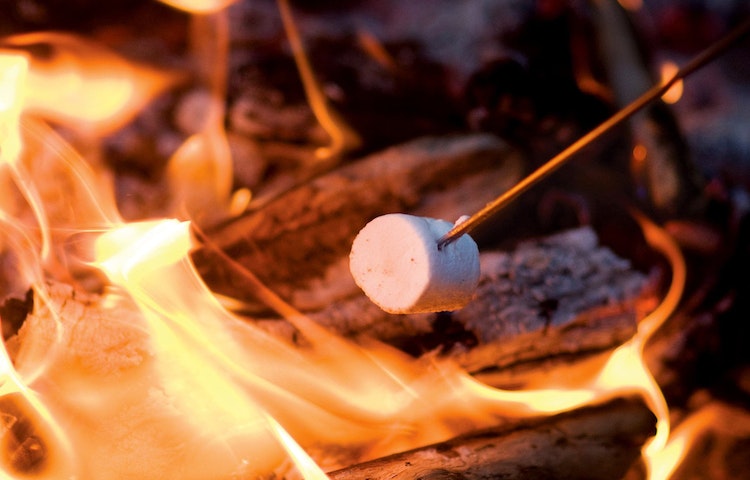 toasting marshmallows