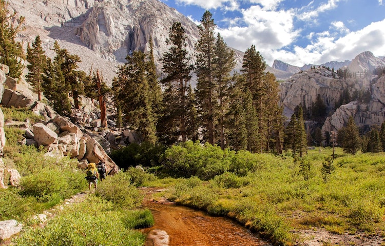 Southbound John Muir trail going into forest of trees