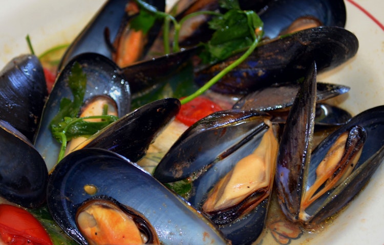 Enjoy gourmet fish dinners in Brindisi and Gallipoli Enjoy gourmet fish dinners in Brindisi and Gallipoli