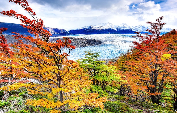 icebergs of majestic Glacier Grey in Argentina, a must-see sight on a Argentina hiking adventure