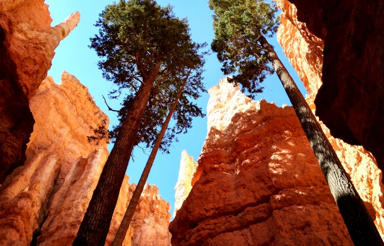national parks