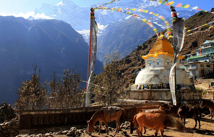 popular Nepal pilgrimage route in Kathmandu, Nepal