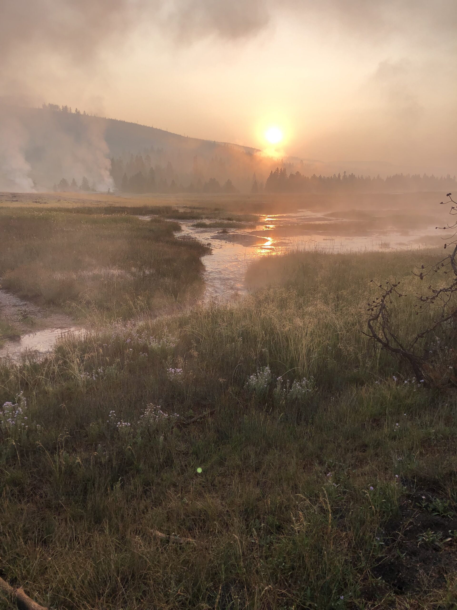 Sunrise over a river in yellowstone national park.
