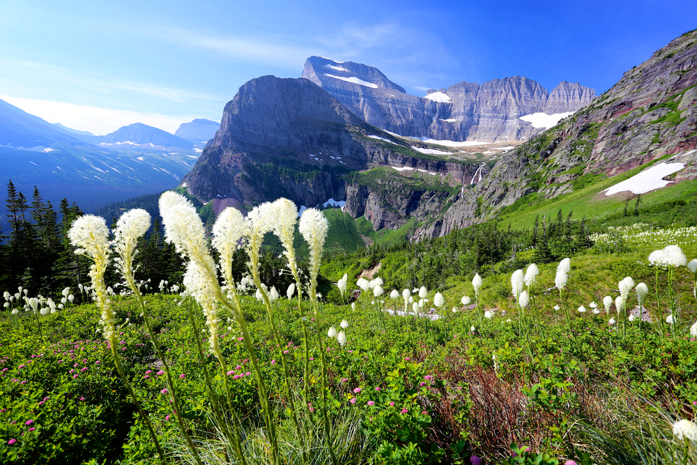 glacier national park hiking in alpine wonderland