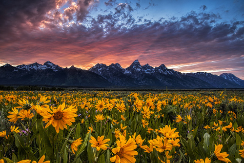 Ultimate Outdoor Adventure Guide to the United States