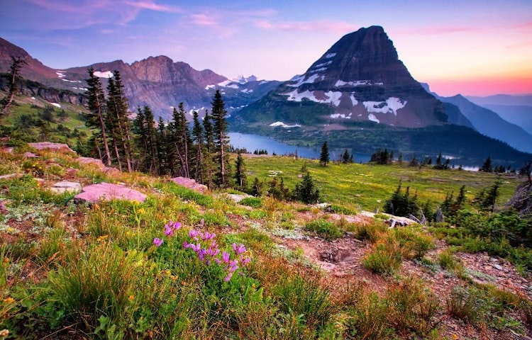 Hike alpine trails amid vibrant wildflowers-bonus: raft the Middle Fork of the Flathead River on this 7-day adventure!