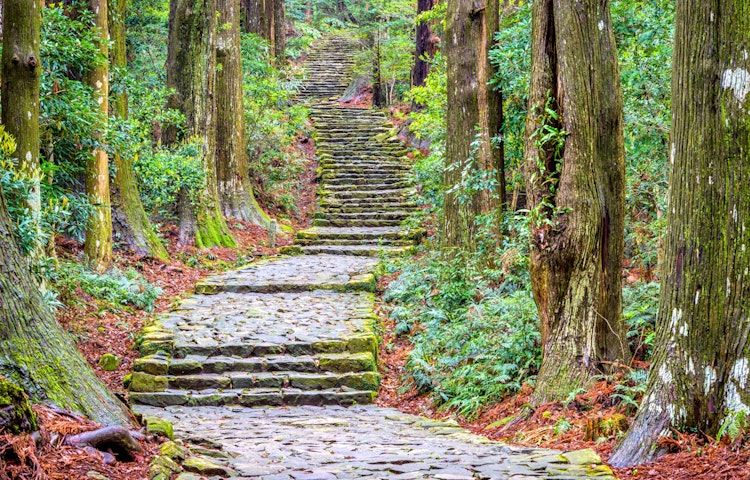 Hiker on a pilgrimage in the Kumano Kodo trail
