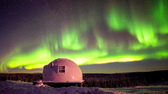 Alaska Aurora & Igloo Multi- Adventure