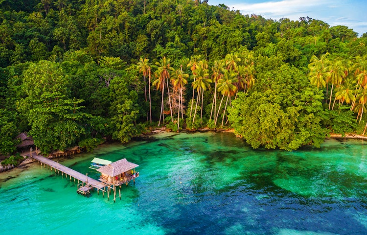 Trek, snorkel & sail in a pristine archipelago of the Coral Triangle, home to an abundance of spectacular aquatic life