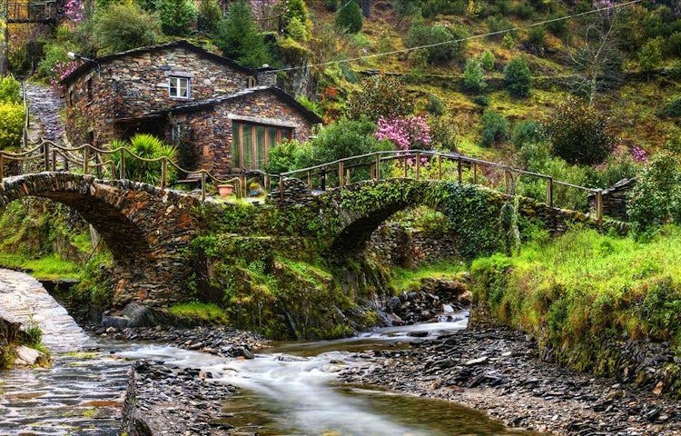a wooden house in the middle of forests of green trees and pink flowers and flora in Europe