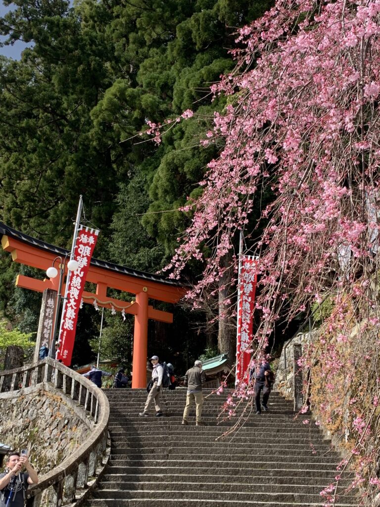 Travelers exploring the Shinto- and Buddhism- inspired sacred shrines along the Kumano Kodo Ancient Pilgrimage Trail