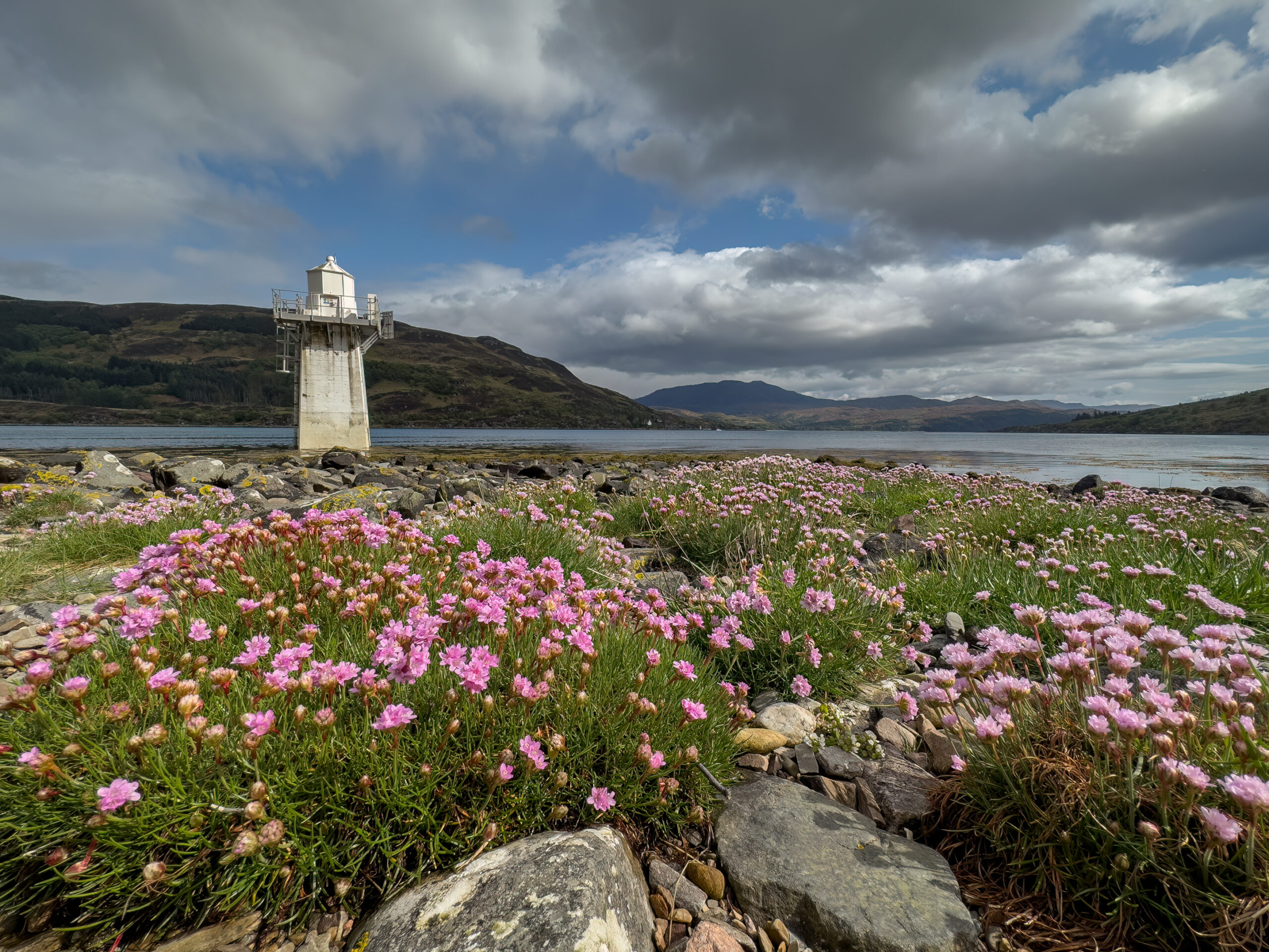 A lighthouse surrounded by pink flowers and rocks.
