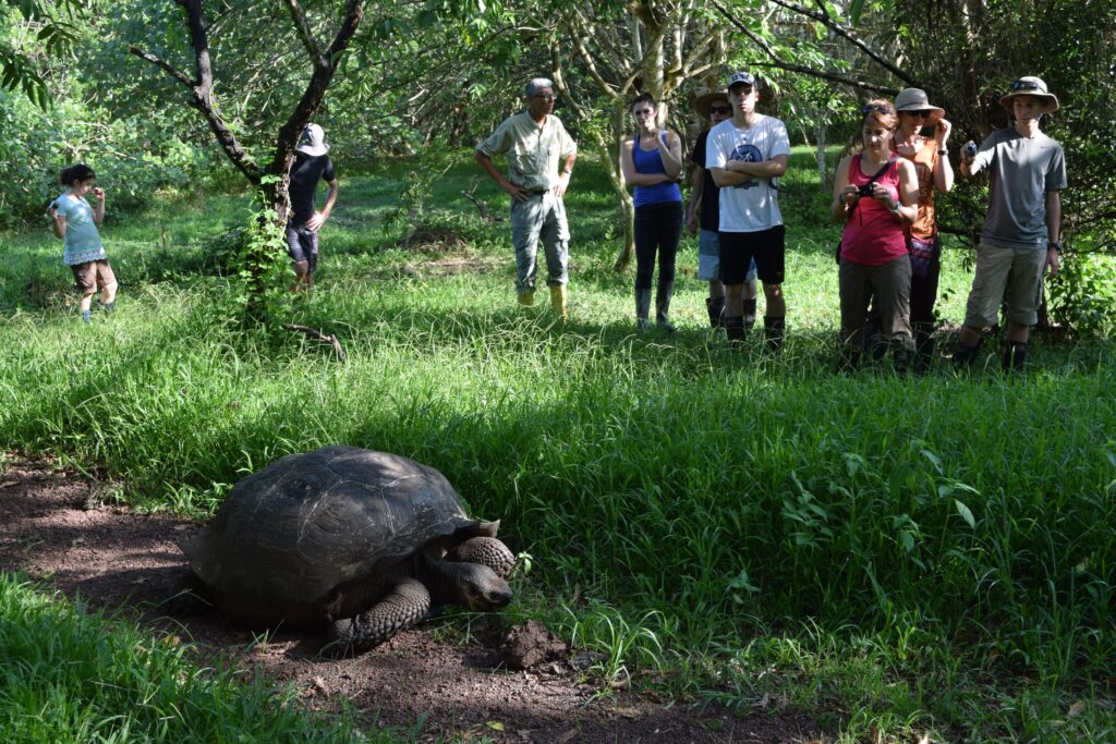 group of tourists both young and old sighting a large tortoise during their cultural & wildlife tour of the Galapagos Islands