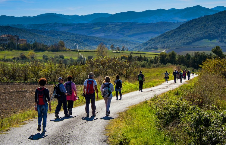 Group of hikers on a guided walking tour through Italy's scenic Cinque Terre in Europe