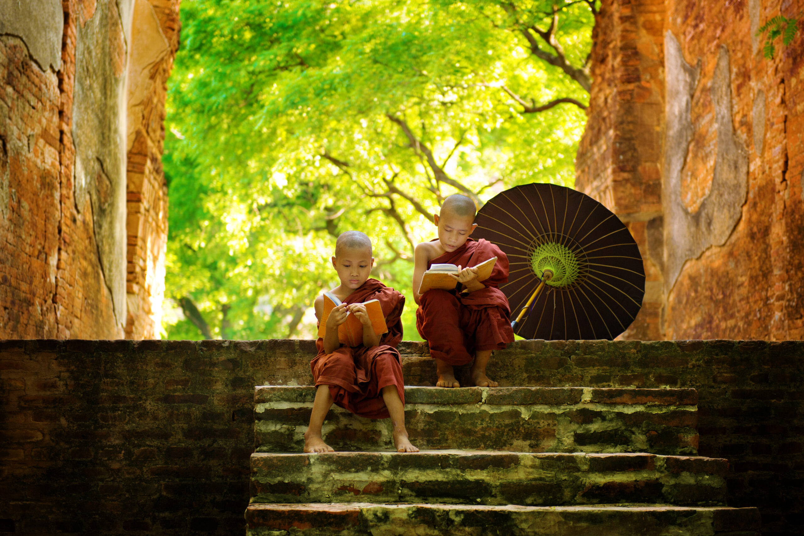 Best Adventure Travel Books of 2023