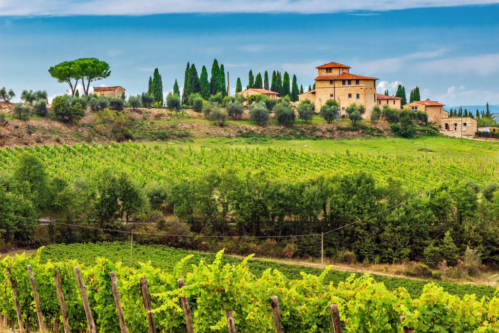 Typical Tuscany stone house with stunning vineyard in the Chianti region, Tuscany, Italy, Europe. 