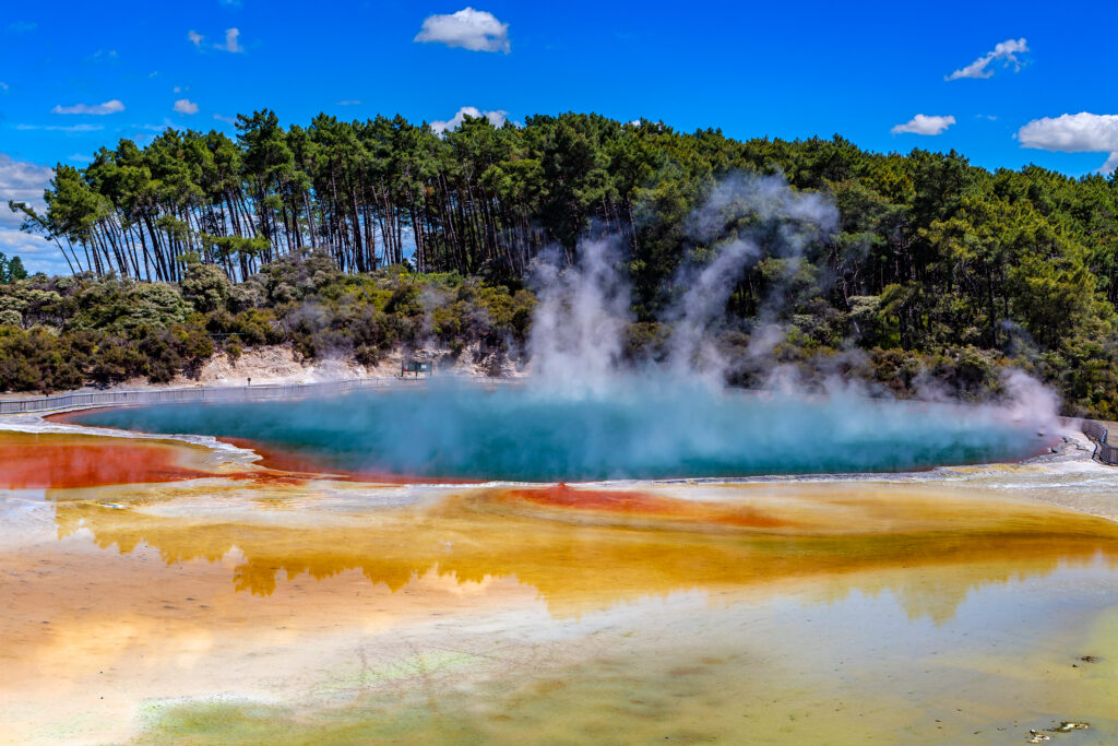 Visit Rotorua, in North Island of New Zealand, an enchanting destination for history buffs who love Maori culture and geothermal wonders!