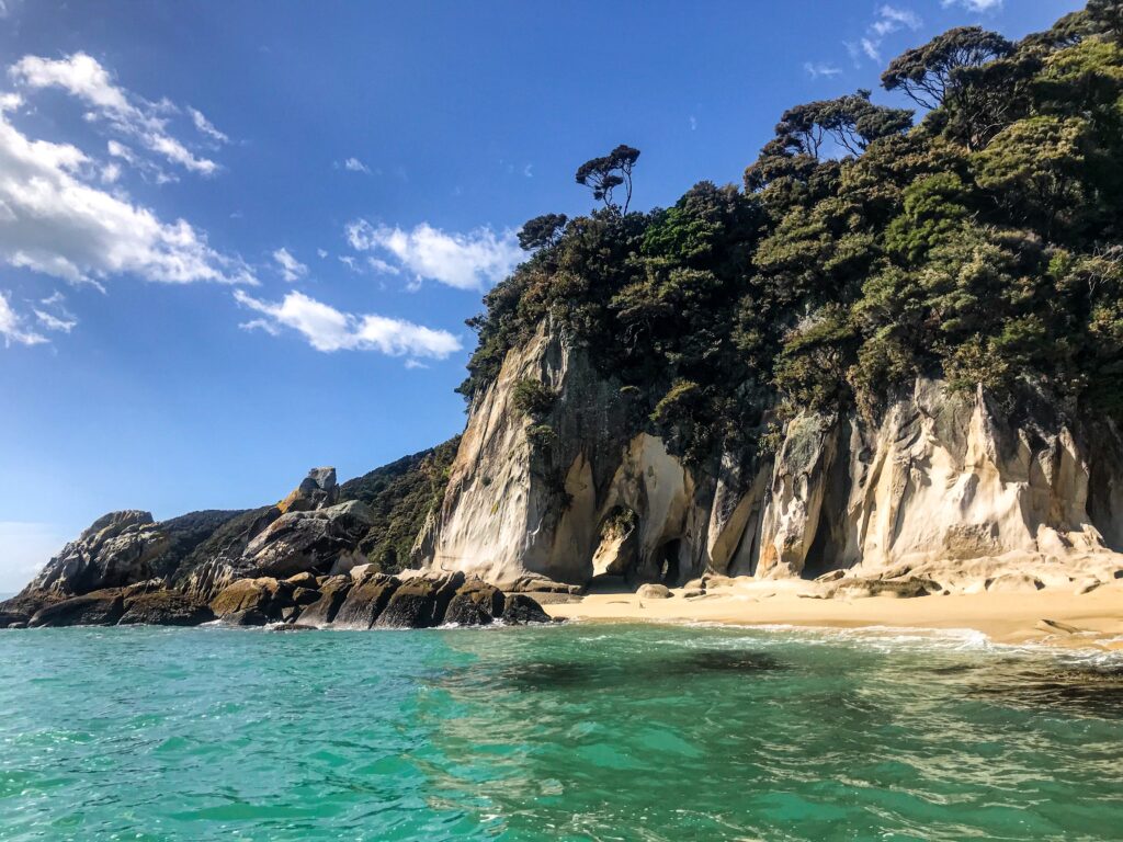 cruise Marlborough Sounds and go wine tasting after in New Zealand, Europe!