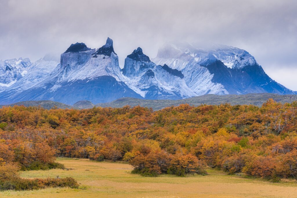 Hikers can witness autumn colorful leaves foliage in Patagonia, Chile & Argentina in March
