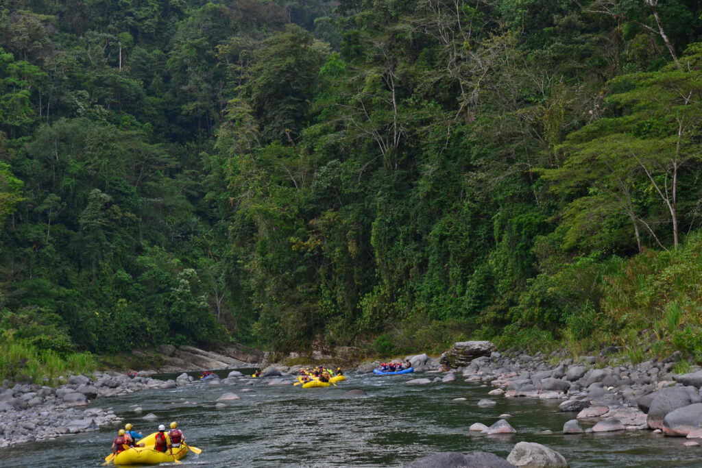 groups of rafters rafting in Tortuguero National Park in Costa Rica in South America