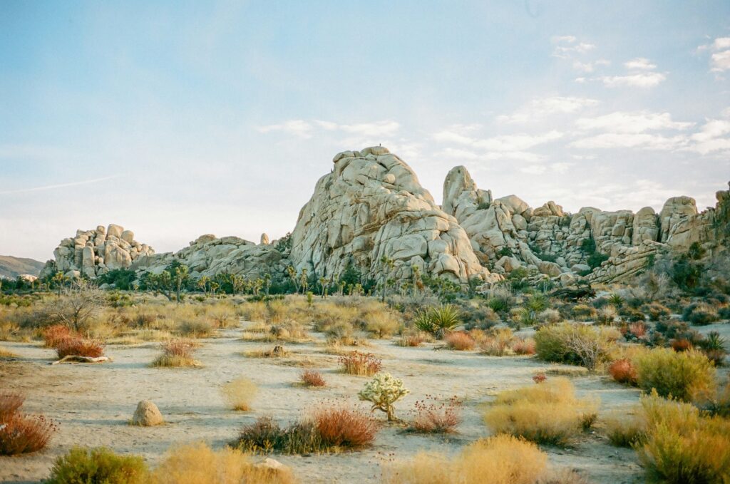 Wintertime in Mastodon Peak Hiking trail in Joshua Tree National Park in California, USA