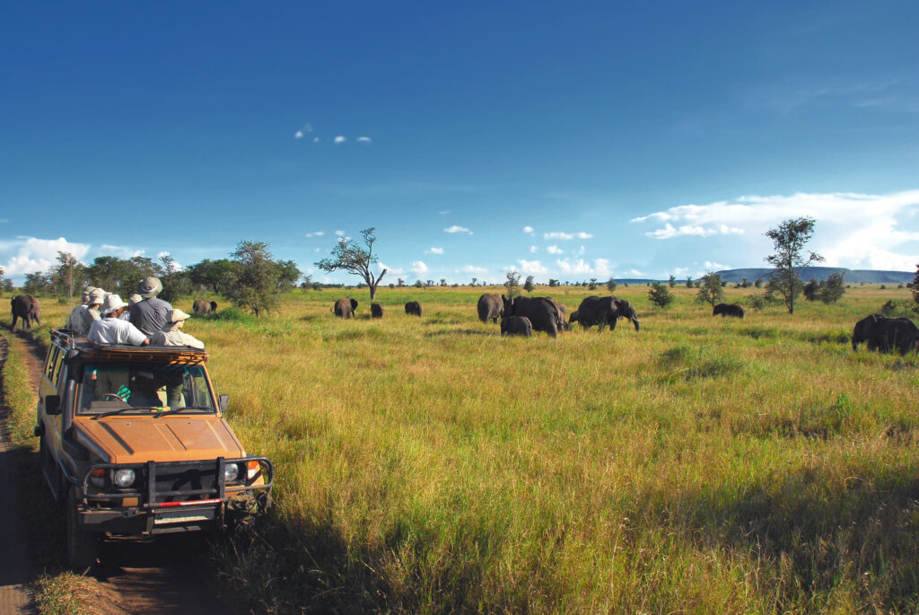 Safari goers watching elephants on the Serengeti Plain in Tanzania, Africa
