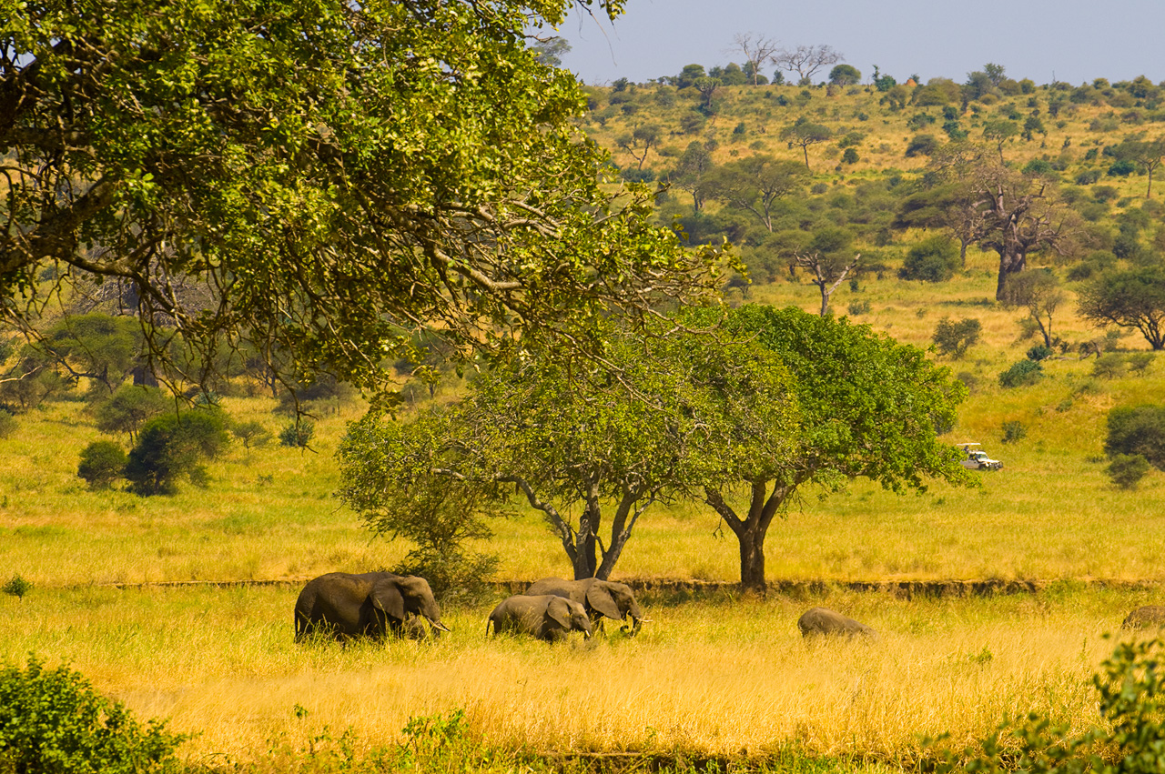 MT Sobek Custom Africa Safari Webinar