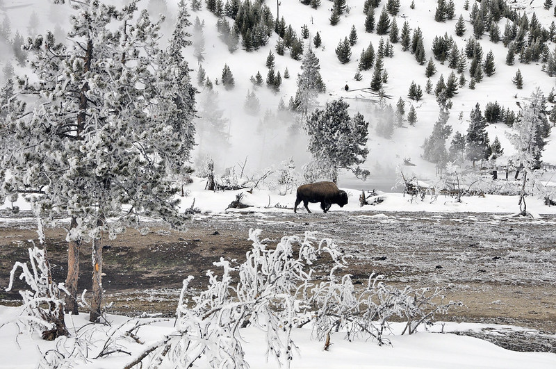 Best Winter Hikes in North America