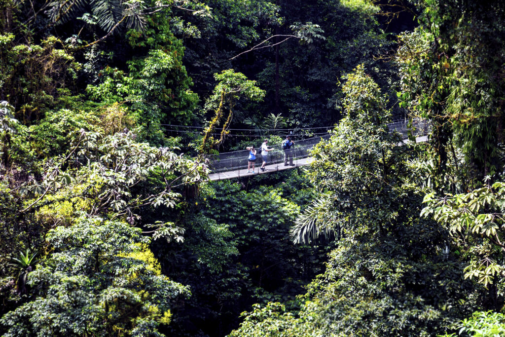 travelers walking on suspension hanging bridge in the Arenal in Costa Rica